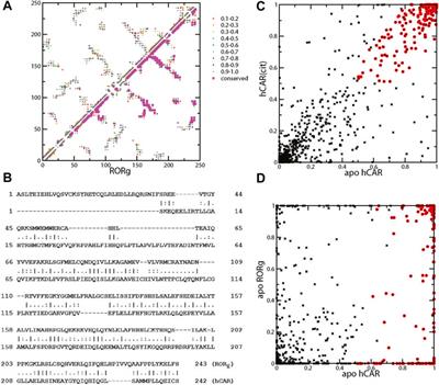 Statistical Analysis of Protein-Ligand Interaction Patterns in Nuclear Receptor RORγ